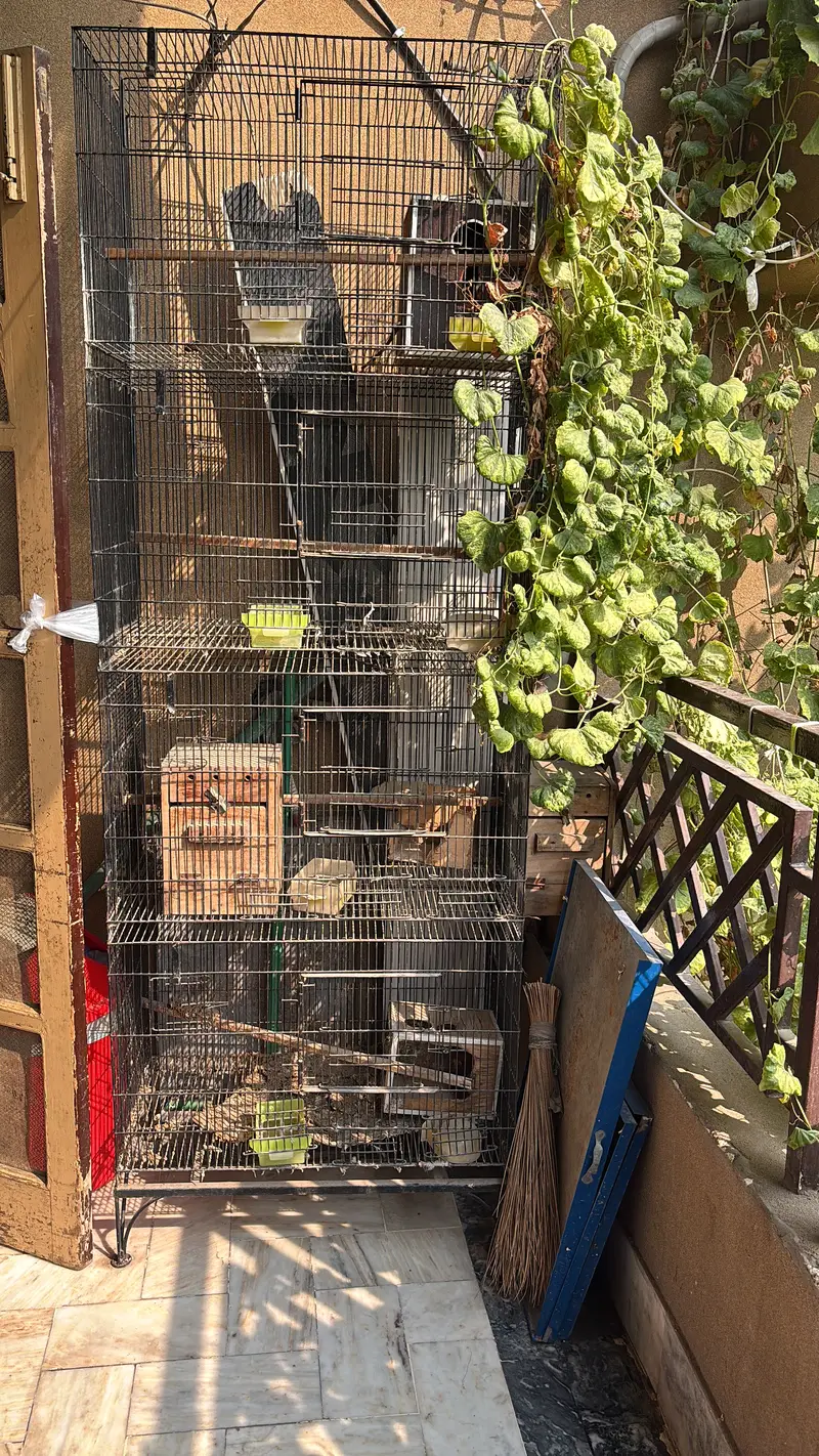 Cage for sale — photo 3