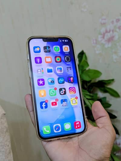 Apple iPhone 13 Pro Max jv