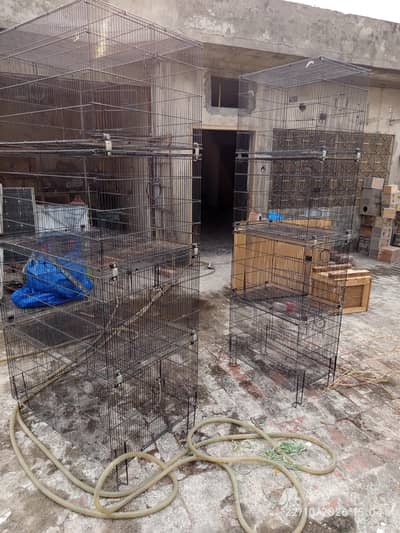 lovebird finch parrot cat pigeon master cage Setup for sale .