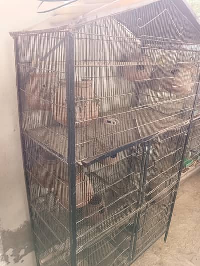 bird cage