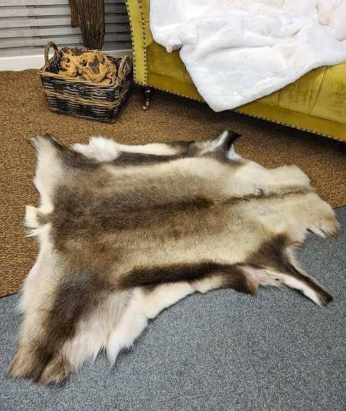 Real Reindeer Leather Hide Rug, Soft Centerpiece for Living Room or Table, Grey/White