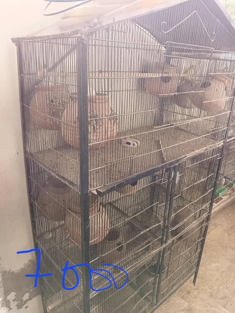 bird cage 3