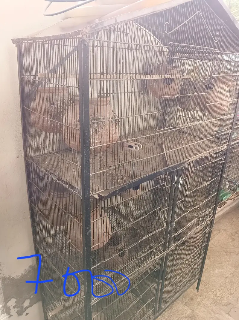 bird cage — photo 4