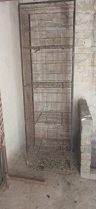 bird cage