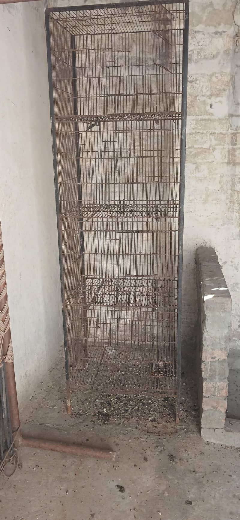 bird cage 0