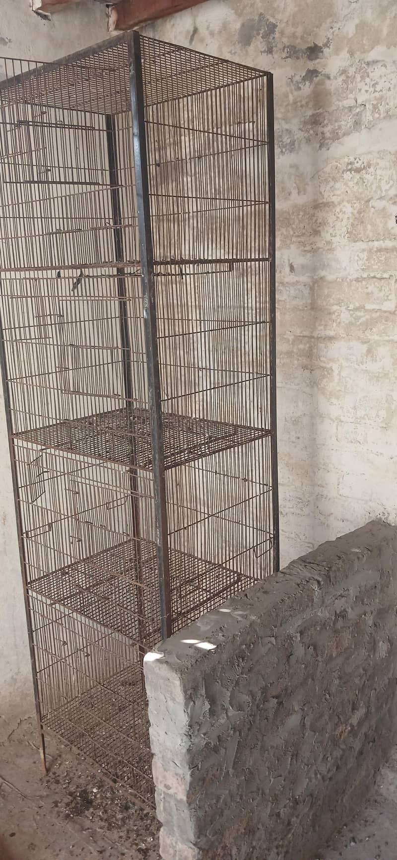 bird cage 1