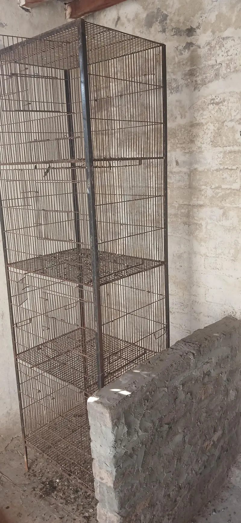 bird cage — photo 2
