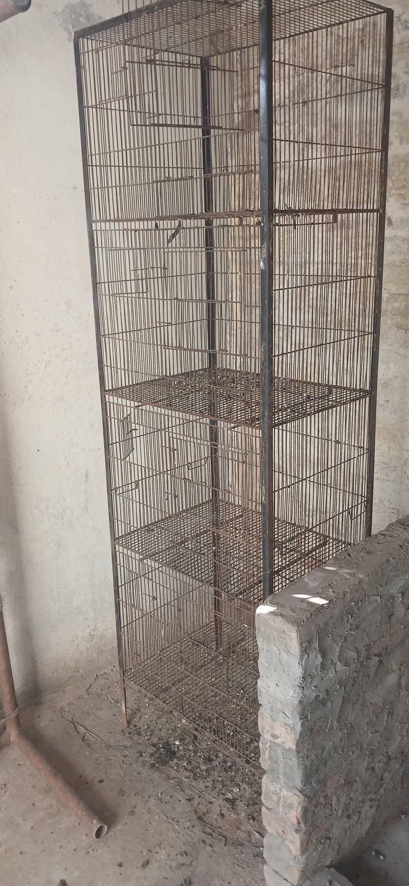 bird cage 2