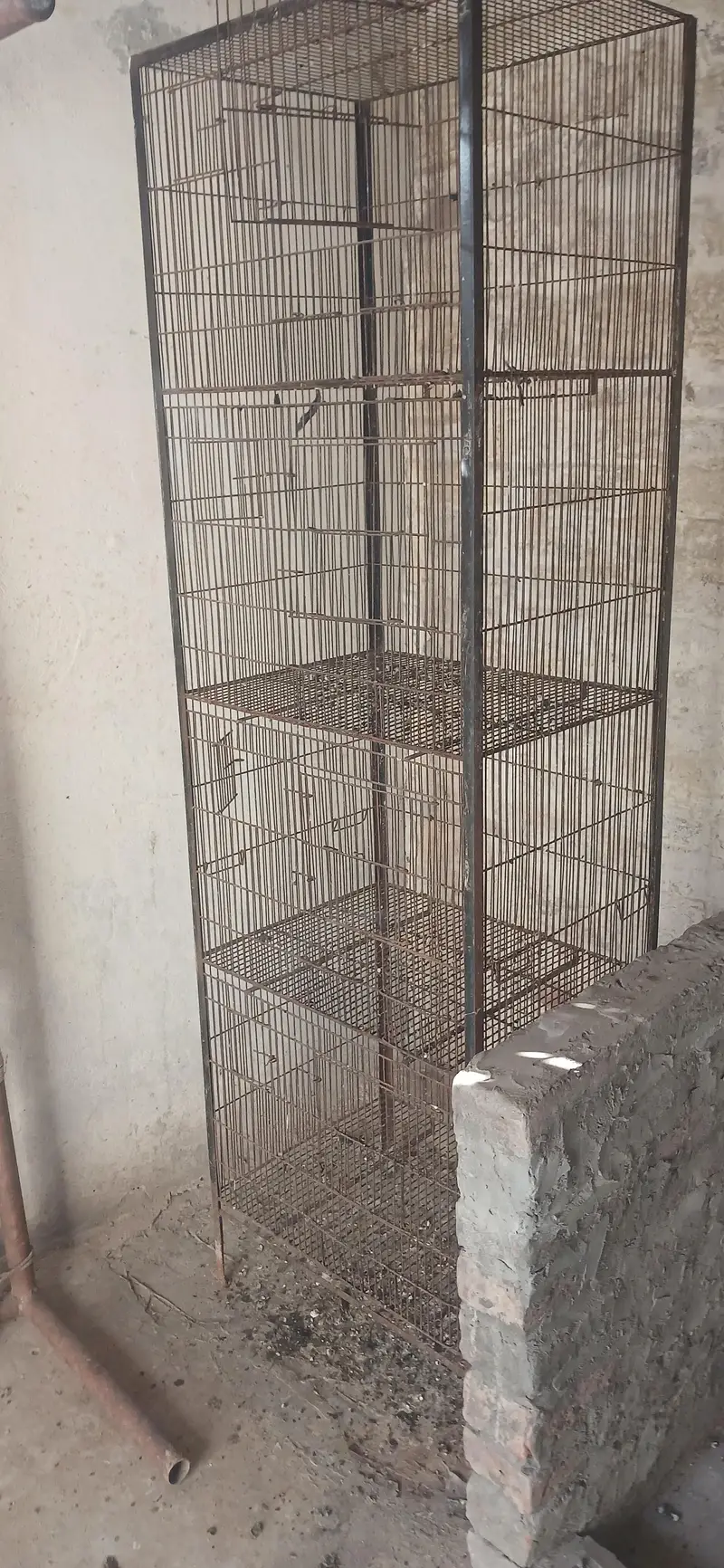 bird cage — photo 3