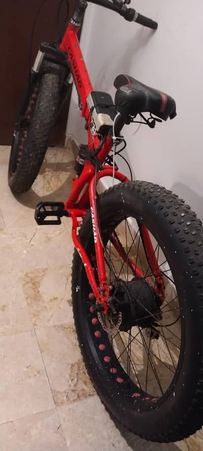 bicycle fat tire and good condition