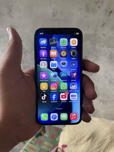 Apple iPhone 12 mini