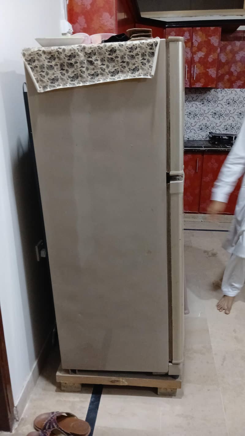 Fridge 5