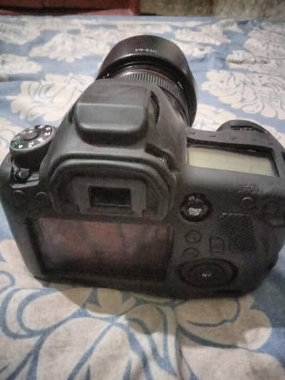 cannon 6d with 24 105 lenz