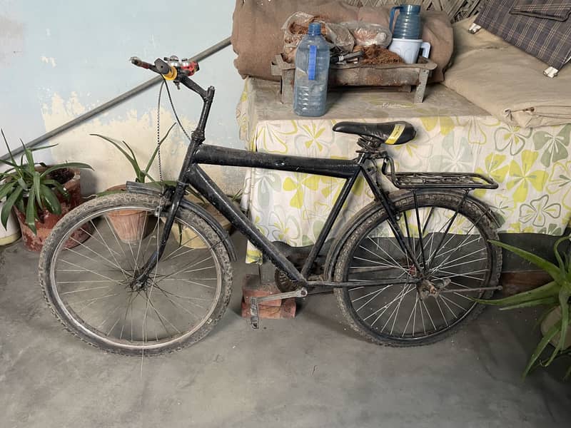 By Cycle 1