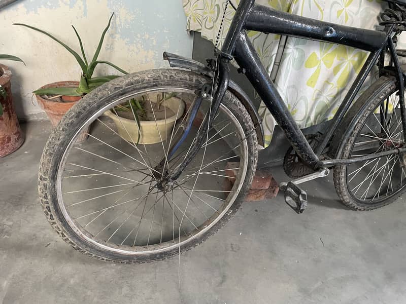 By Cycle 4