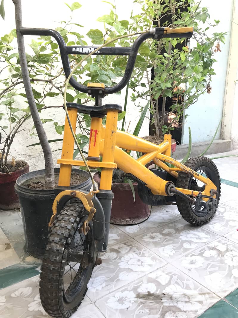 Hummer cycle 1