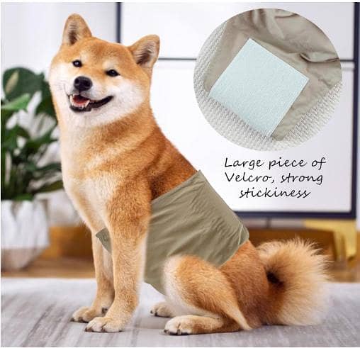 Reusable Male Dog Belly Band Washable Pet Diaper Wrap Sanitary Abdominal Belt with Hook and Loop Closure R6103