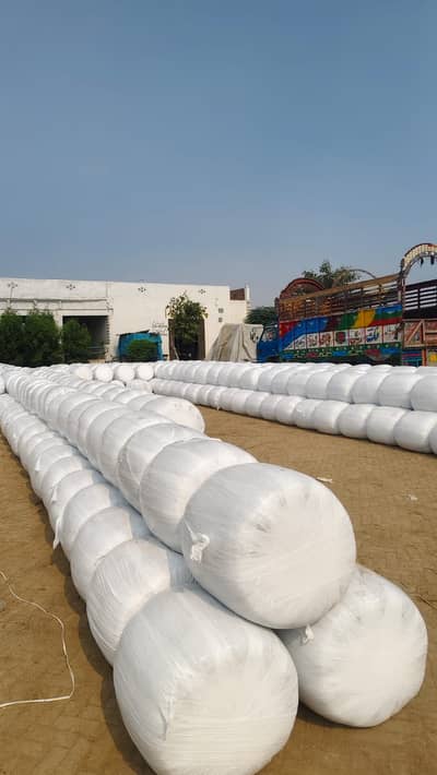 Corn Silage / Maki Silage / Animal Feeds   چوہدری سائیلج