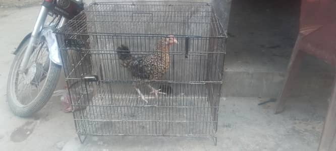 Cage for sale
