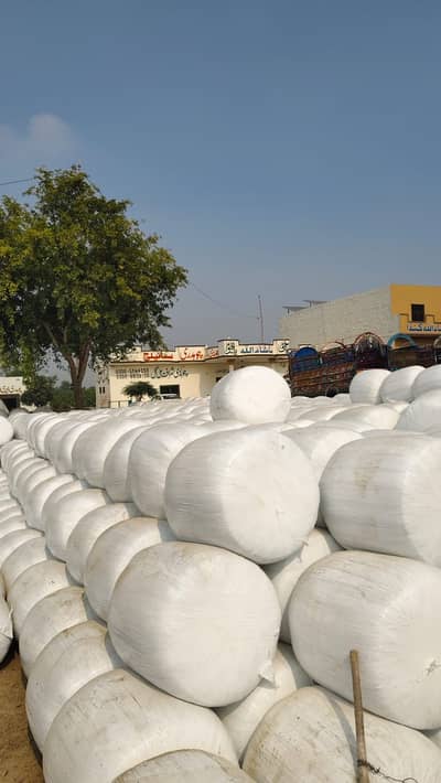 Silage/Corn Silage/Maki Silage/Animal Feeds چوہدری سائیلج