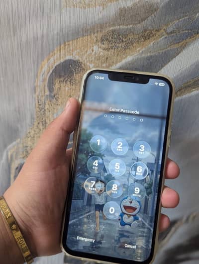 Apple iPhone 12 Pro Max