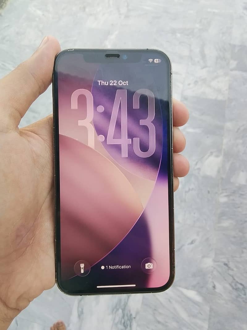 Apple iPhone 12 Pro 4
