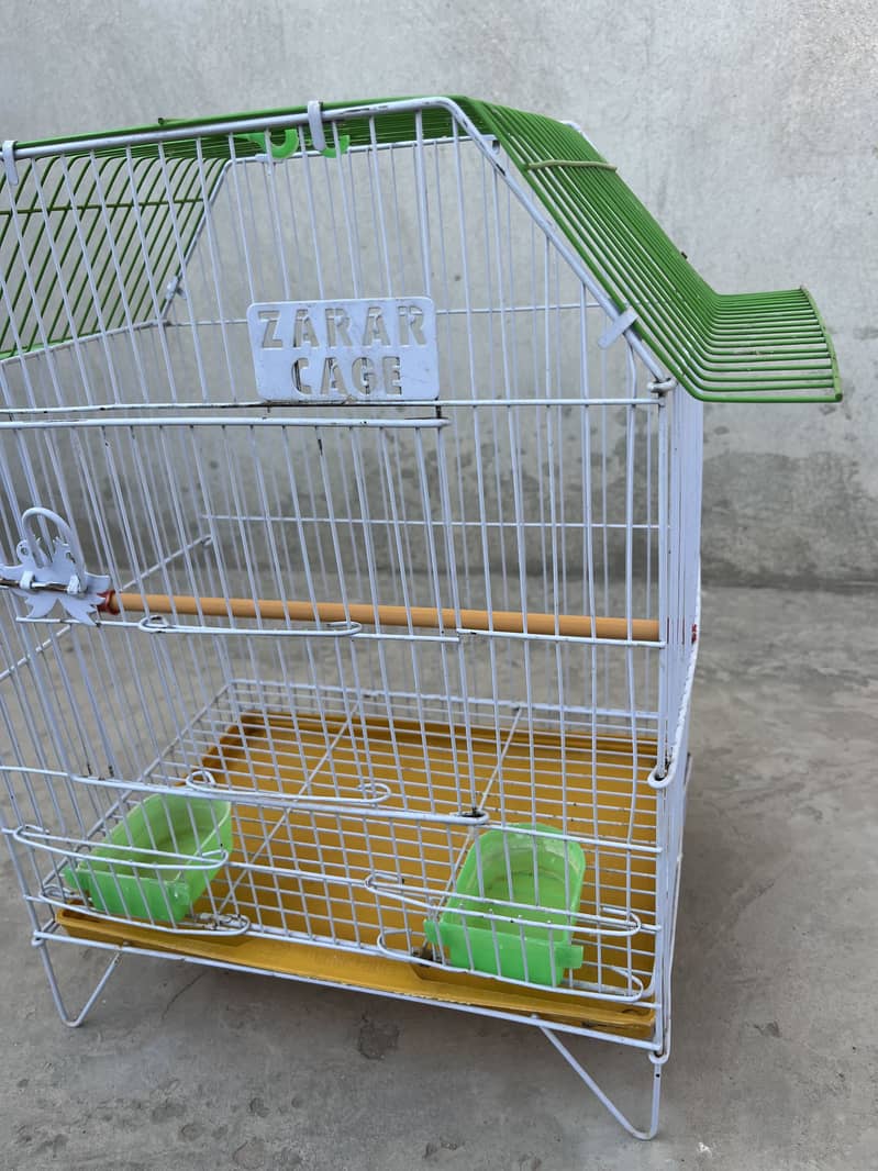 Bird cage 1