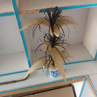 Decoration pieces