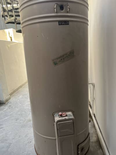 60 gallon geyser