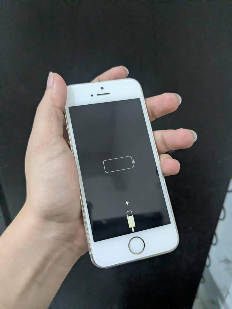 Apple iPhone 5s 1