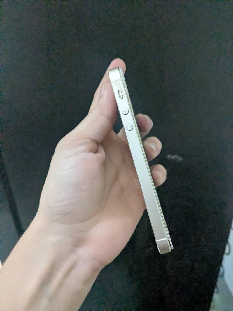 Apple iPhone 5s 6