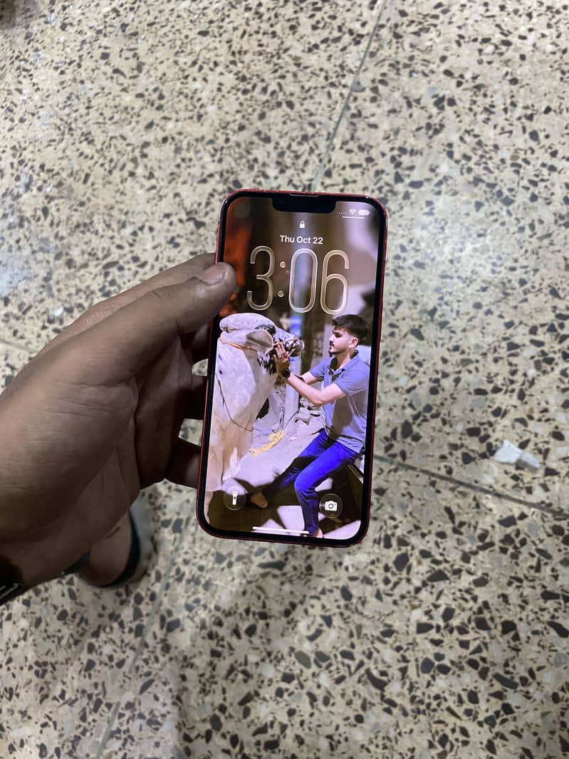 Apple iPhone 13 0