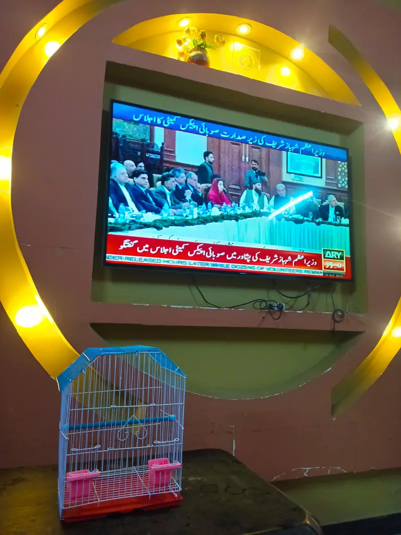 CAGE FOR SMALL BIRD چھوٹا پرندے کا پنجرہ — photo 2
