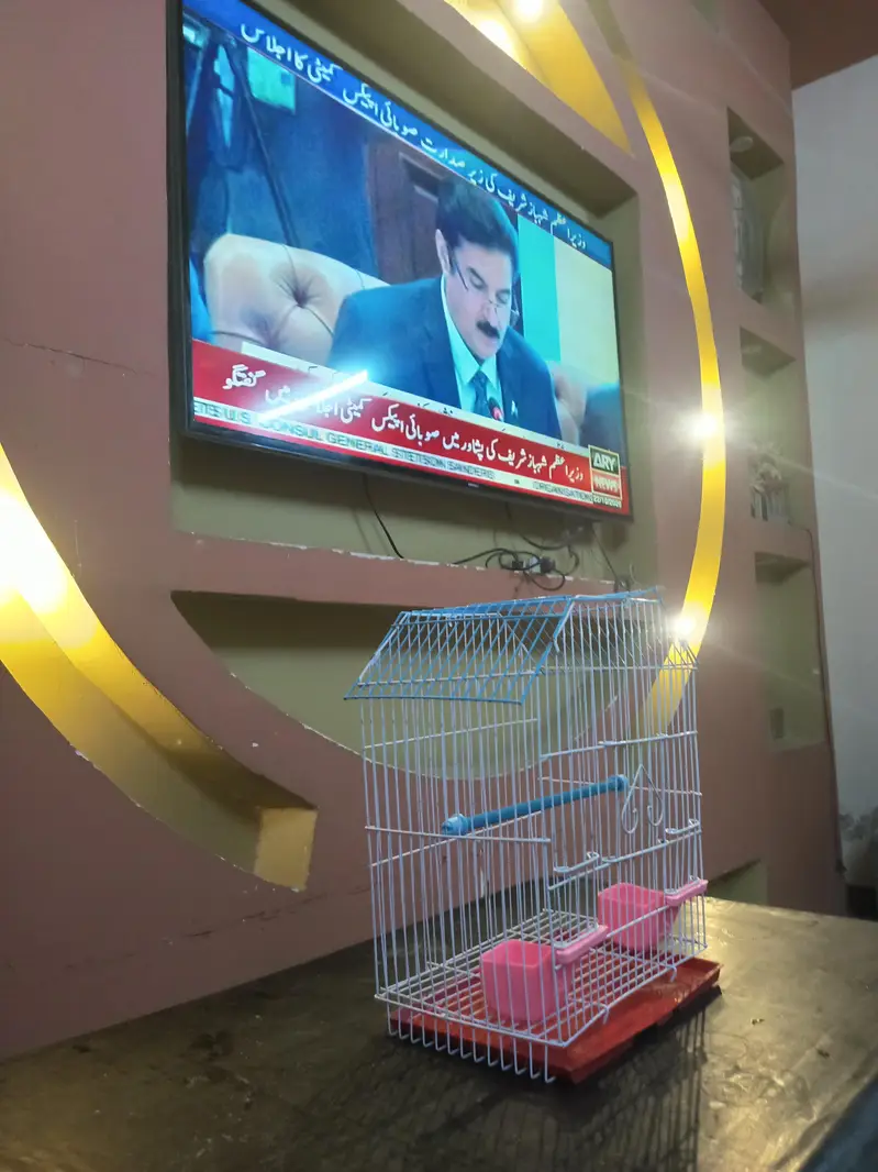 CAGE FOR SMALL BIRD چھوٹا پرندے کا پنجرہ — photo 3