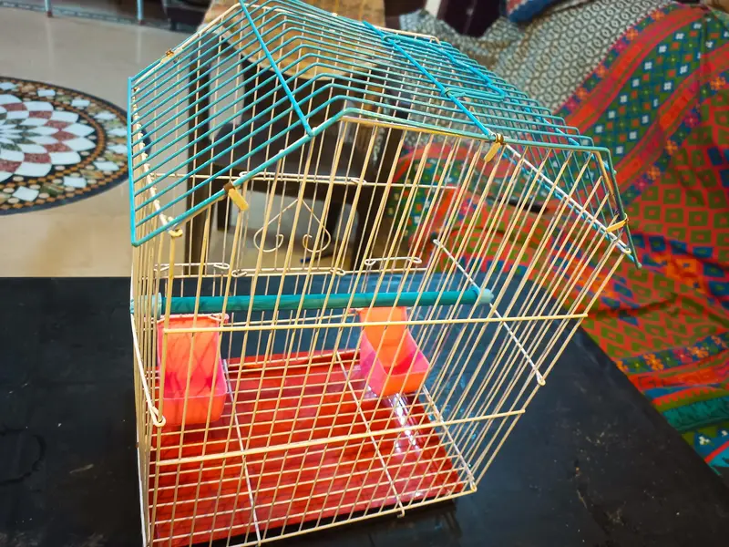 CAGE FOR SMALL BIRD چھوٹا پرندے کا پنجرہ — photo 4