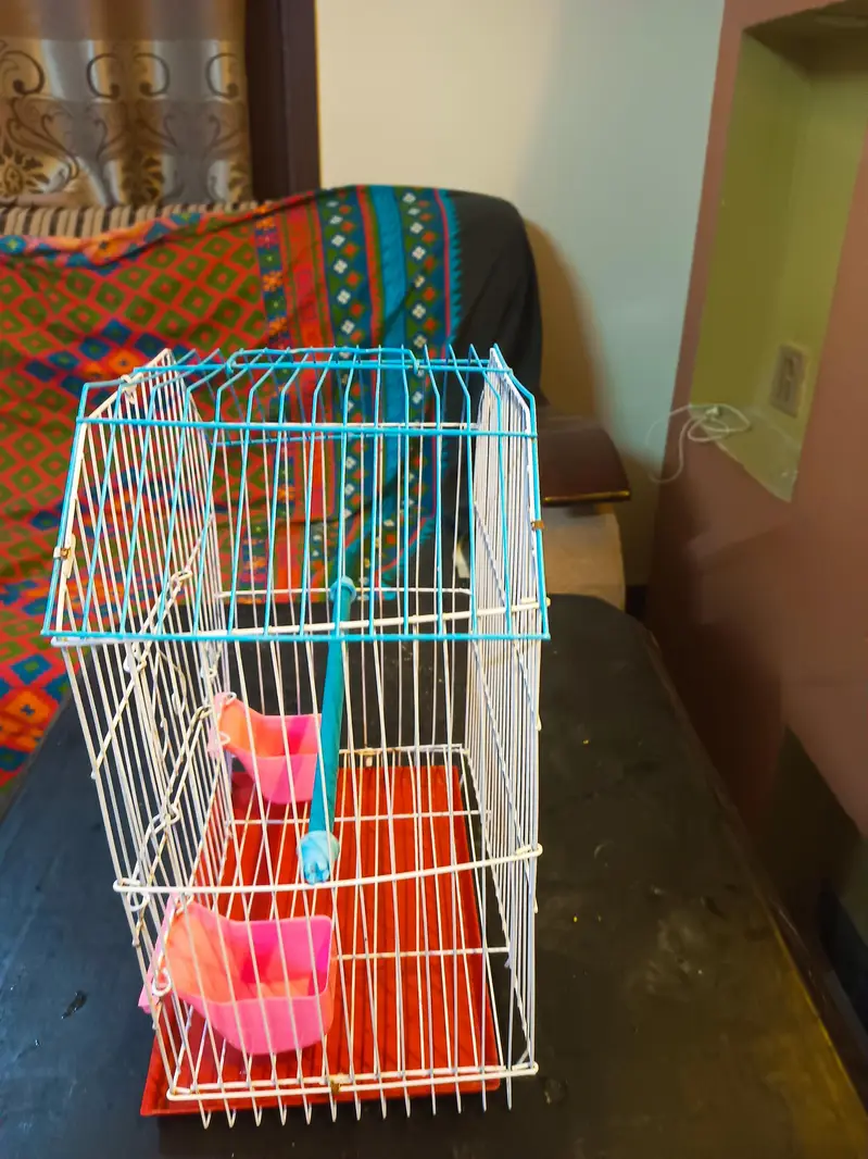 CAGE FOR SMALL BIRD چھوٹا پرندے کا پنجرہ — photo 5