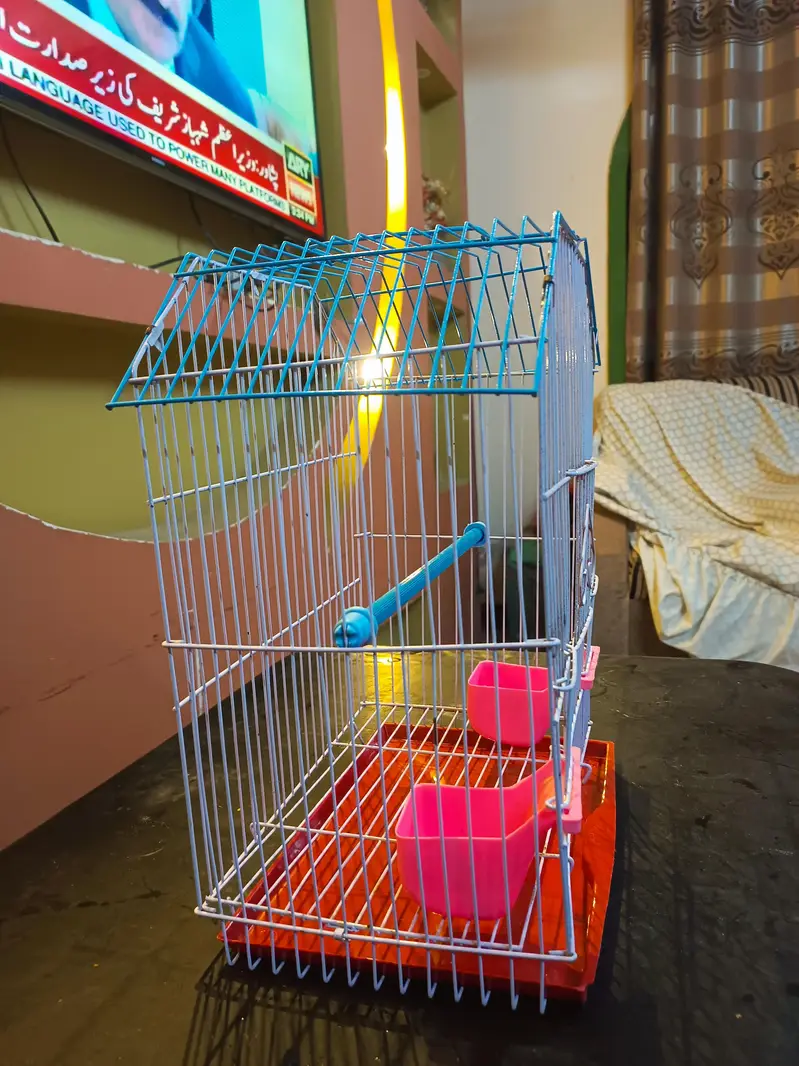 CAGE FOR SMALL BIRD چھوٹا پرندے کا پنجرہ — photo 6