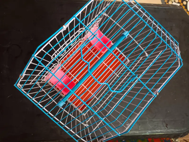 CAGE FOR SMALL BIRD چھوٹا پرندے کا پنجرہ — photo 7
