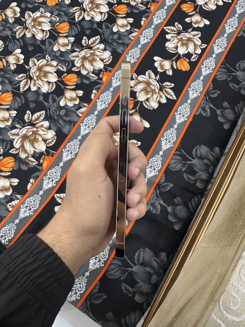 Apple iPhone 12 Pro Max 1