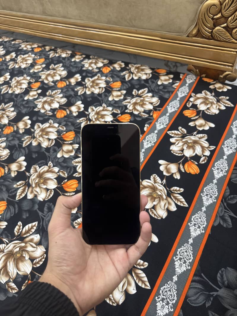 Apple iPhone 12 Pro Max 3