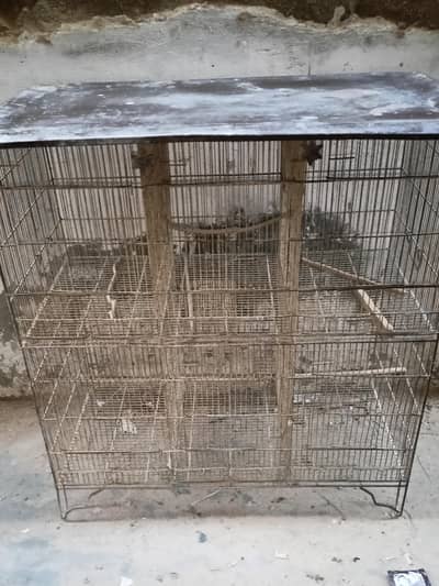 Birds Cage 6 Portions
