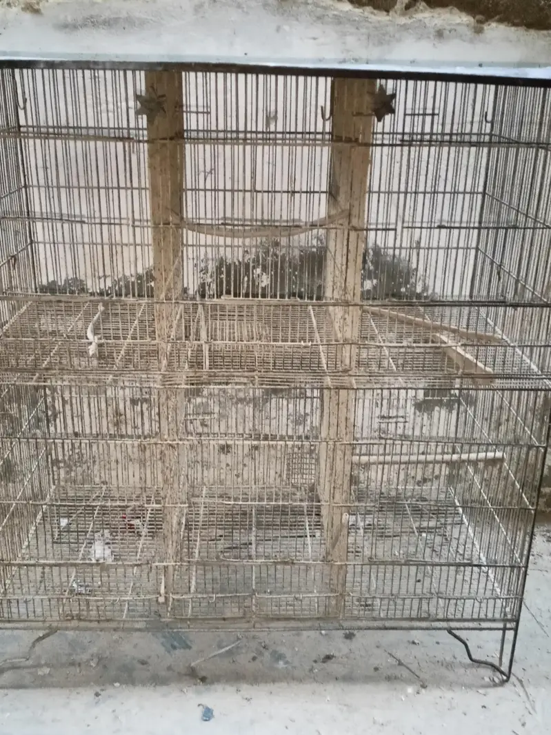 Birds Cage 6 Portions — photo 4