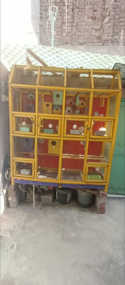 best cage for parrots and cats