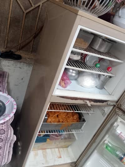 fridge small size