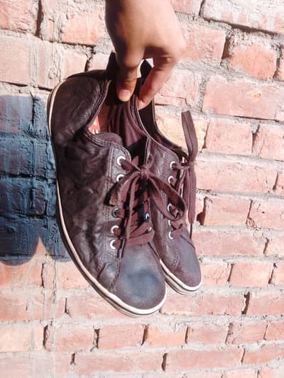 Paul Smith international branded sneakers brown