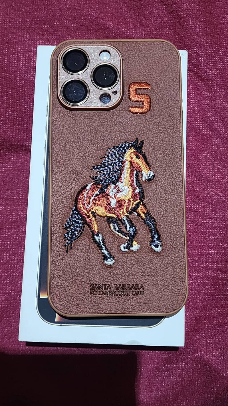 Apple iPhone 16 Pro Max 1