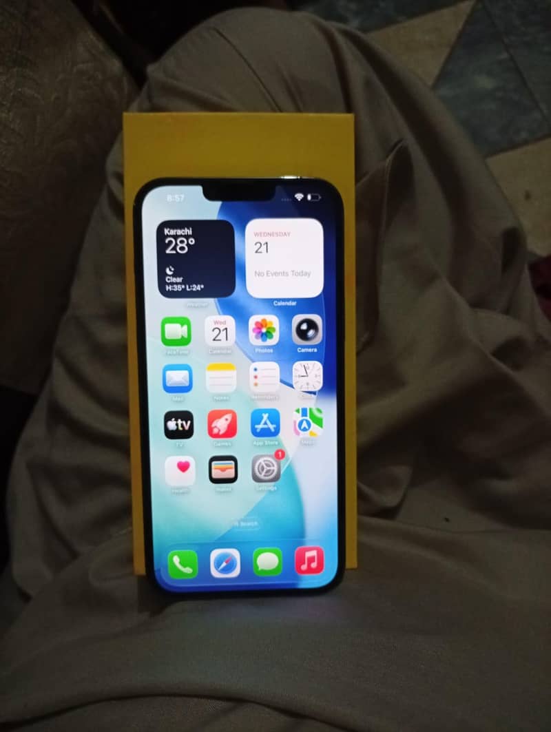 Apple iPhone 13 Pro Max 0