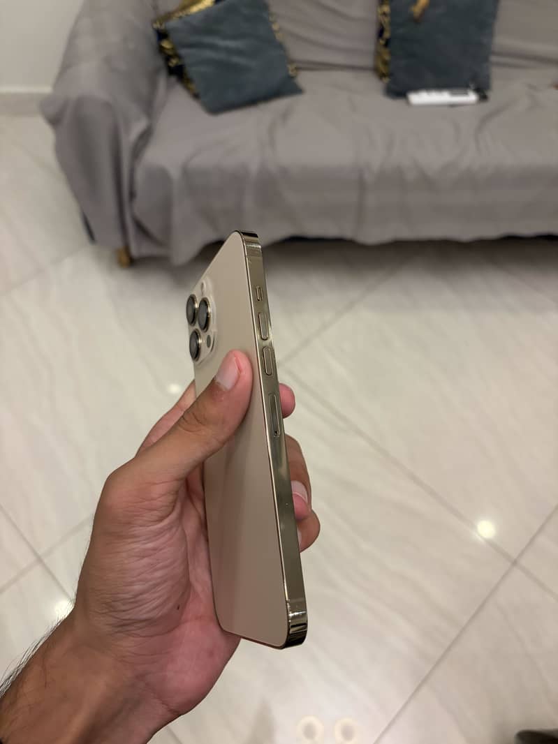Apple iPhone 13 Pro Max 1