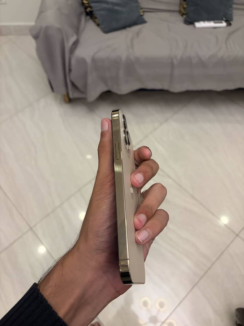 Apple iPhone 13 Pro Max 2