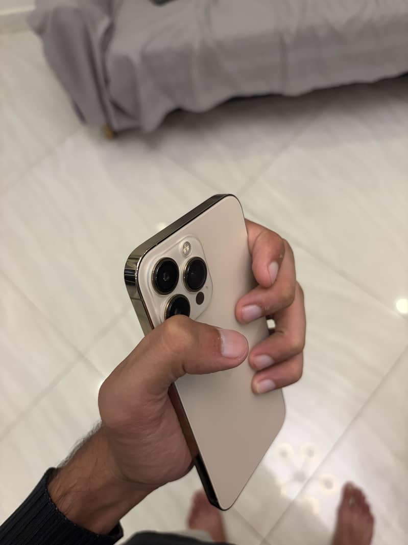 Apple iPhone 13 Pro Max 3